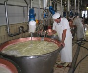 Lavorazione tradizionale del Parmigiano-Reggiano
